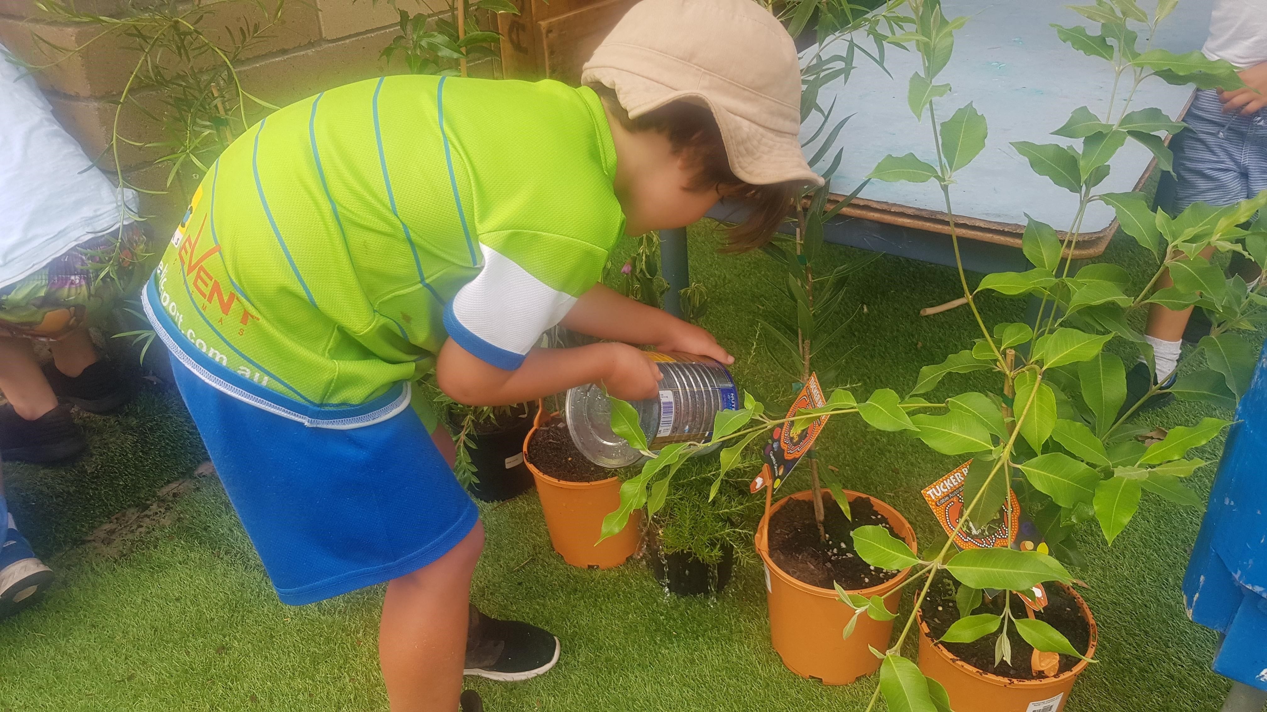 kindergarten boy watering plants in Tiny Tots Early Learning Centre