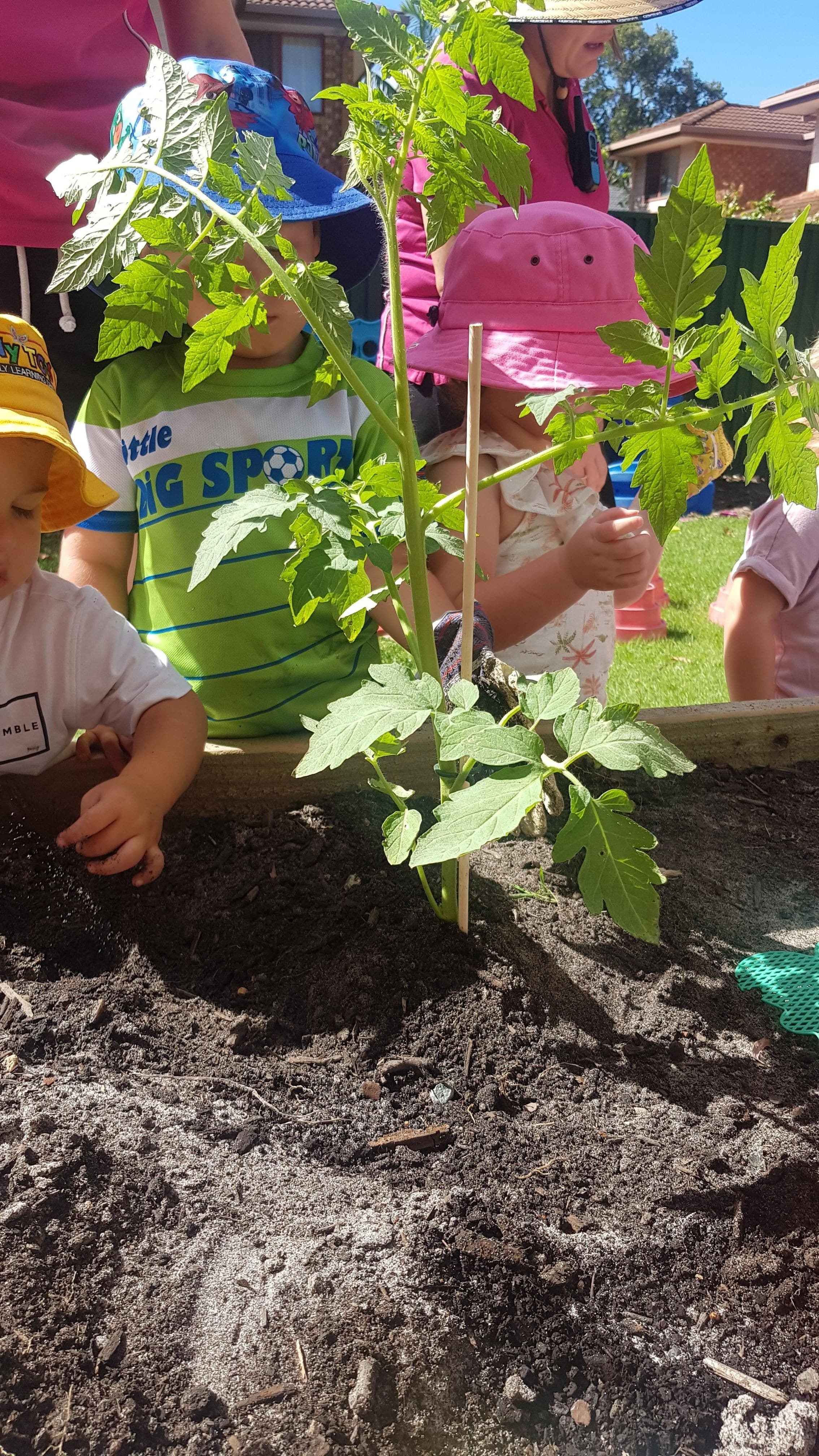kids having fun in the garden planting in Tiny Tots Early Learning Centre